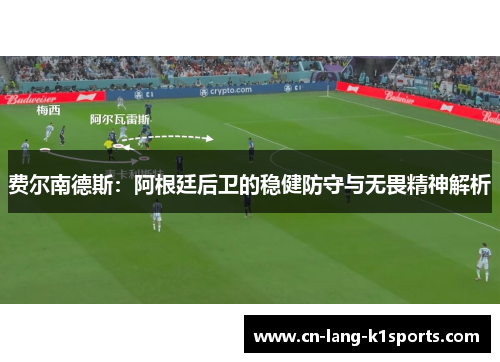 费尔南德斯：阿根廷后卫的稳健防守与无畏精神解析